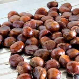 CHESTNUT