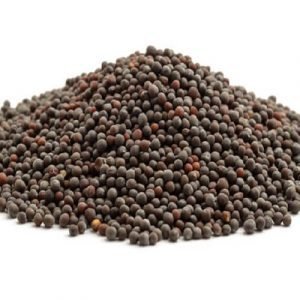 MUSTARD SEEDS