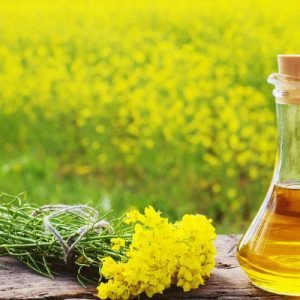 MUSTARD OIL
