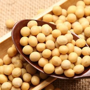 OYBEANS SEEDS