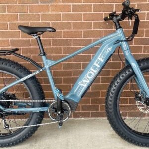 Electric bike ATOM V5