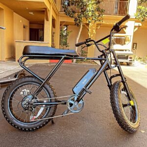 SWFT Zip Fat Tire Electric Bike