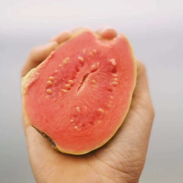 Wholesale Pink Guava - Image 2