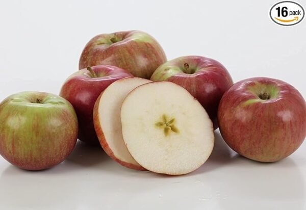 Wholesale Kauffman Orchards Fresh Mcintosh Apples