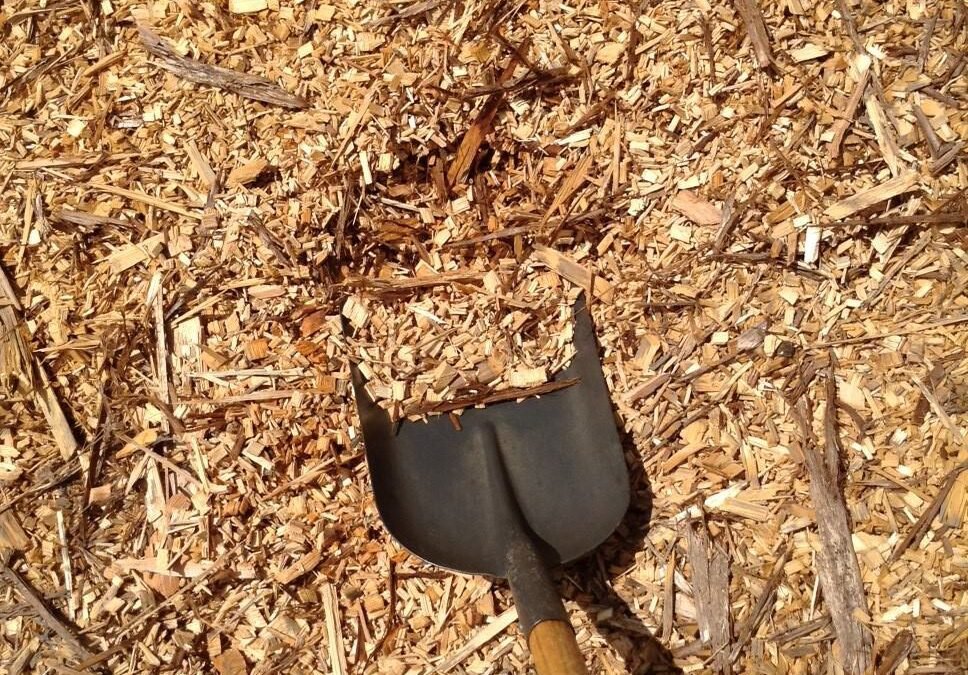 Wholesale Wood Shavings Suppliers: The Secret to Quality Animal Bedding