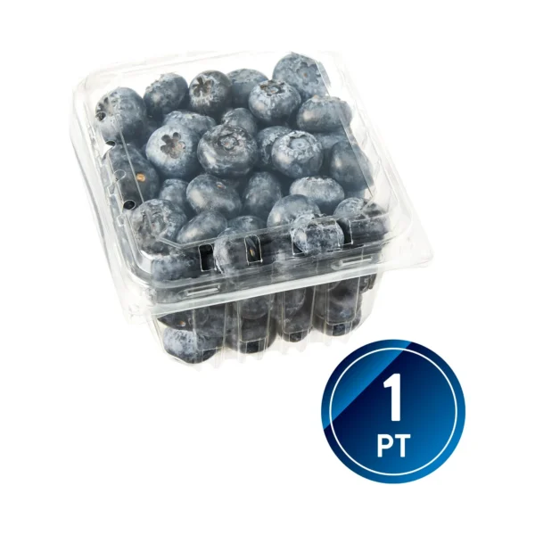 Wholesale Fresh Blueberries - Image 2