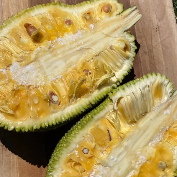 Wholesale Jackfruit Box