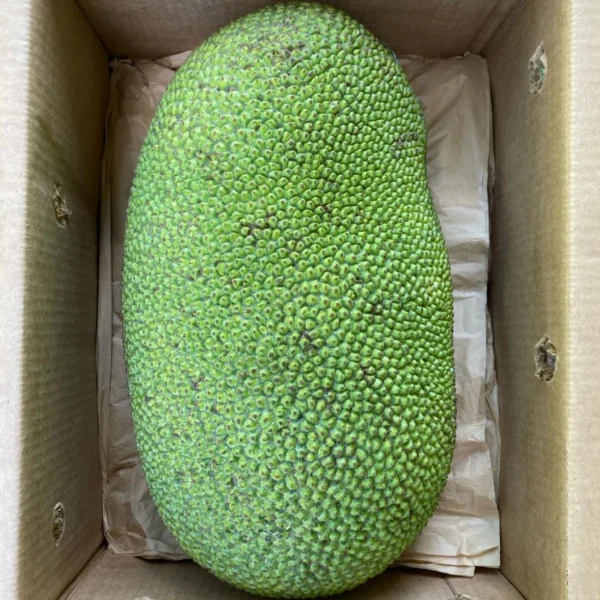 Wholesale Jackfruit Box - Image 3