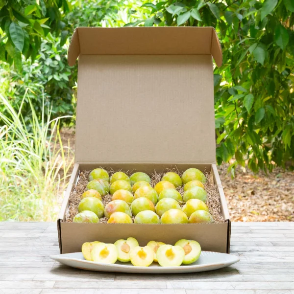 Wholesale Organic Emerald Beaut Plums - Image 2