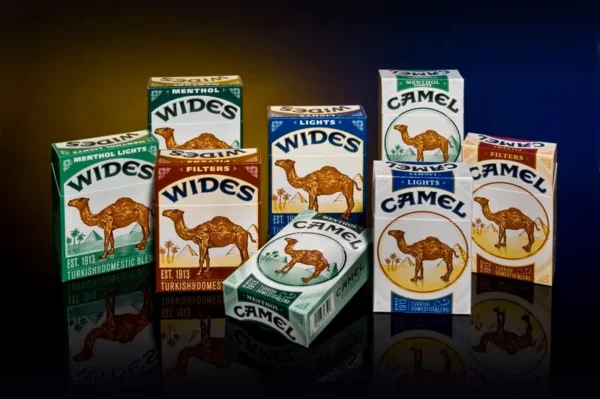Wholesale Camel Cigarettes for sale