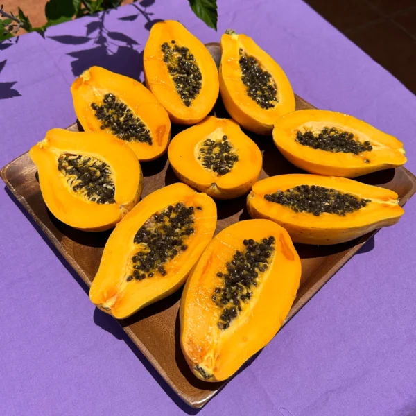 Wholesale Papaya Bulk