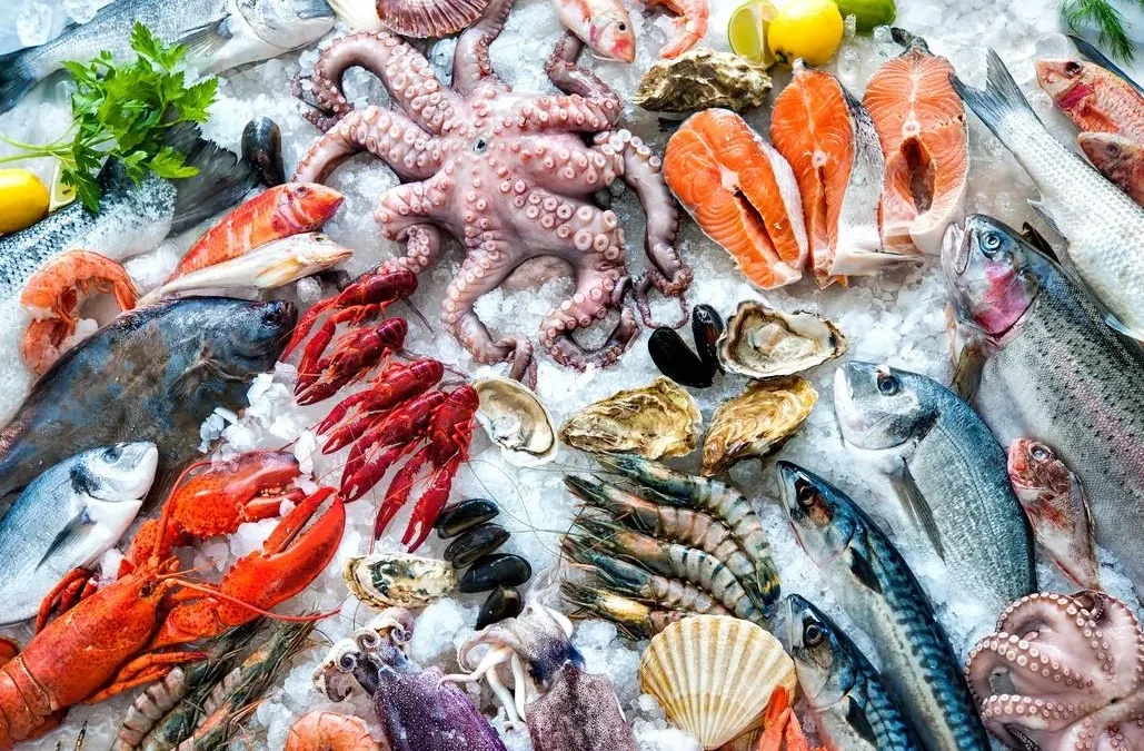 From Ocean to Table: The Benefits of Wholesale Fish Products