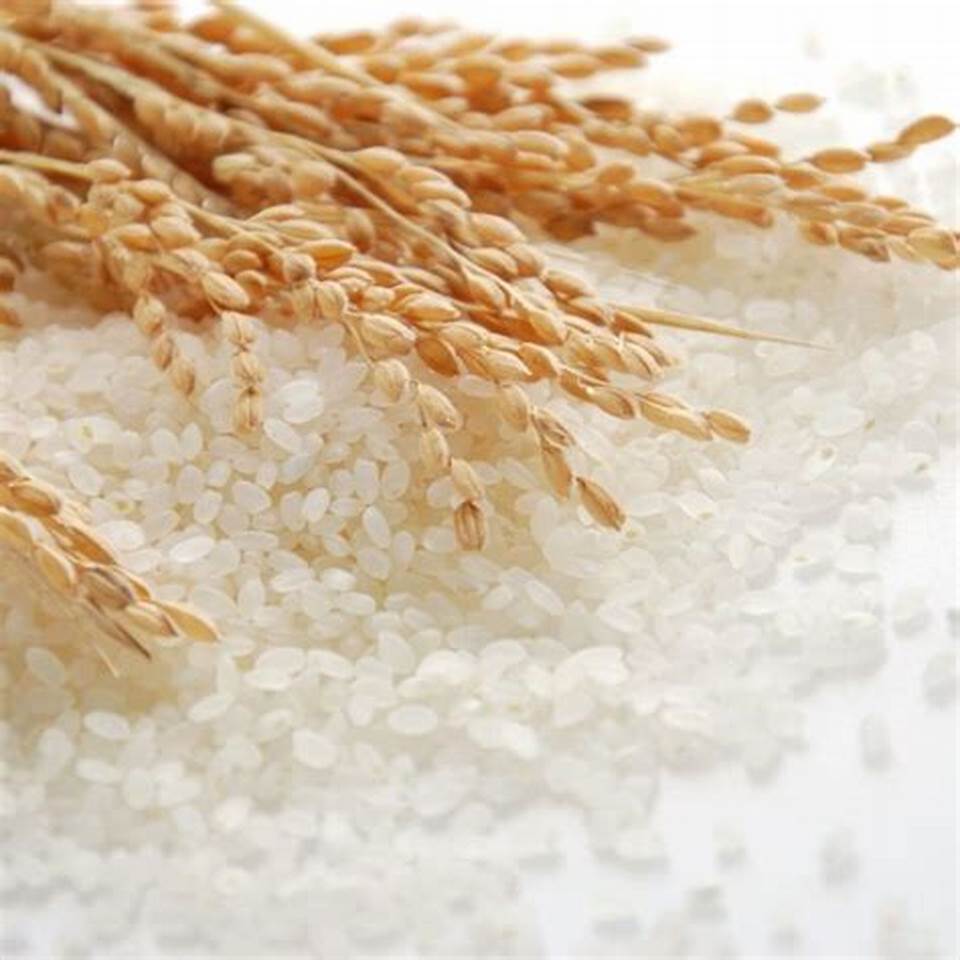 RICE