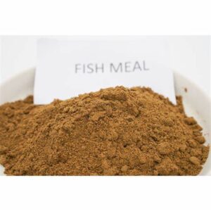 Fish Meal