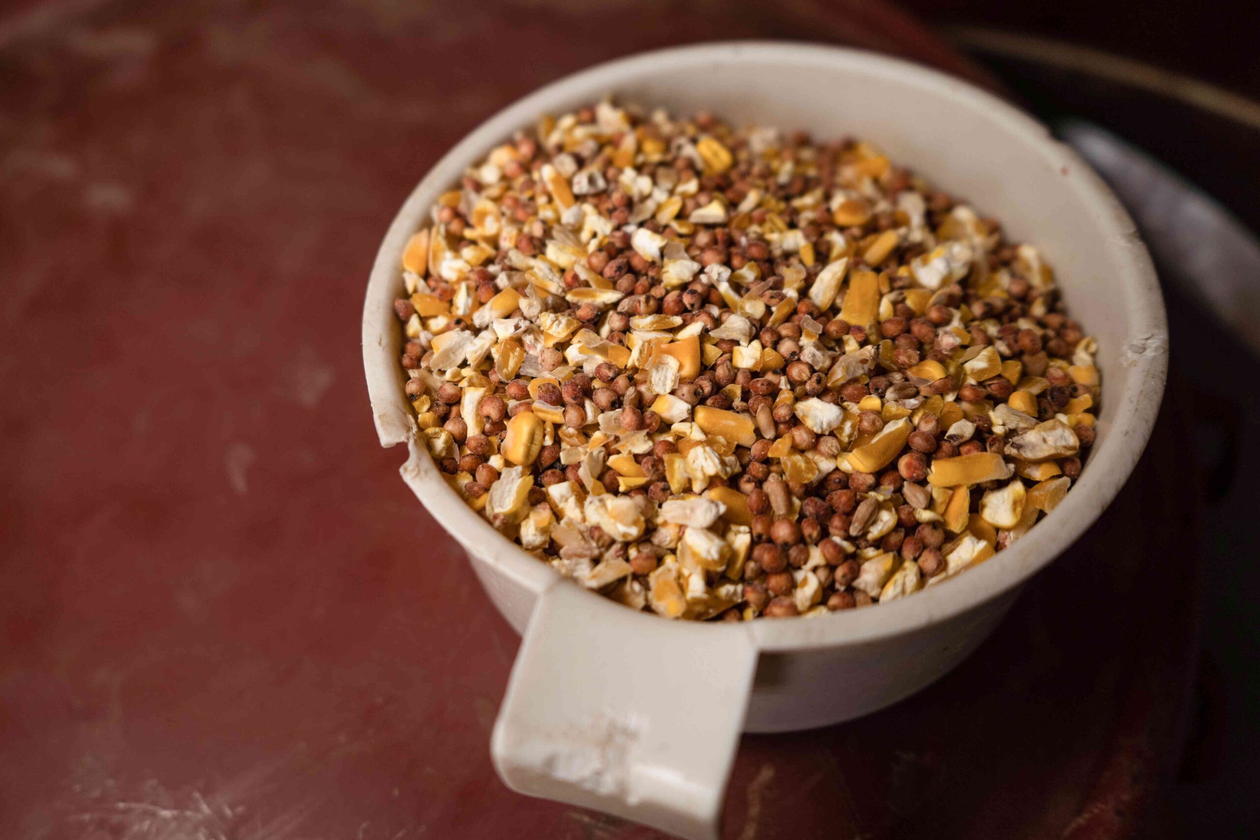 POULTRY FEED