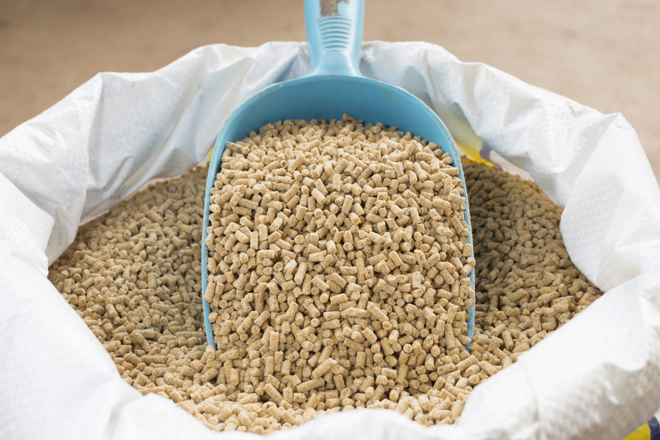 Pig Feed - Image 2