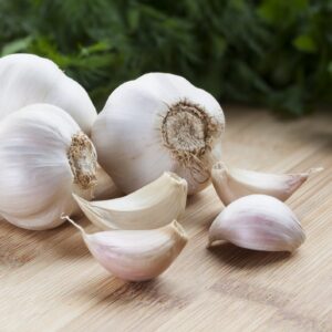 GARLIC