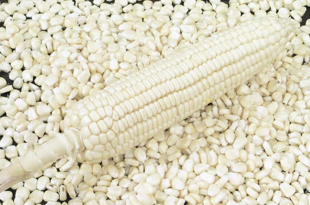 WHITE MAIZE