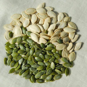 Pumpkin Seeds Kernel