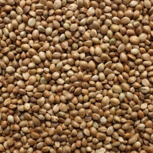 Hemp Seeds