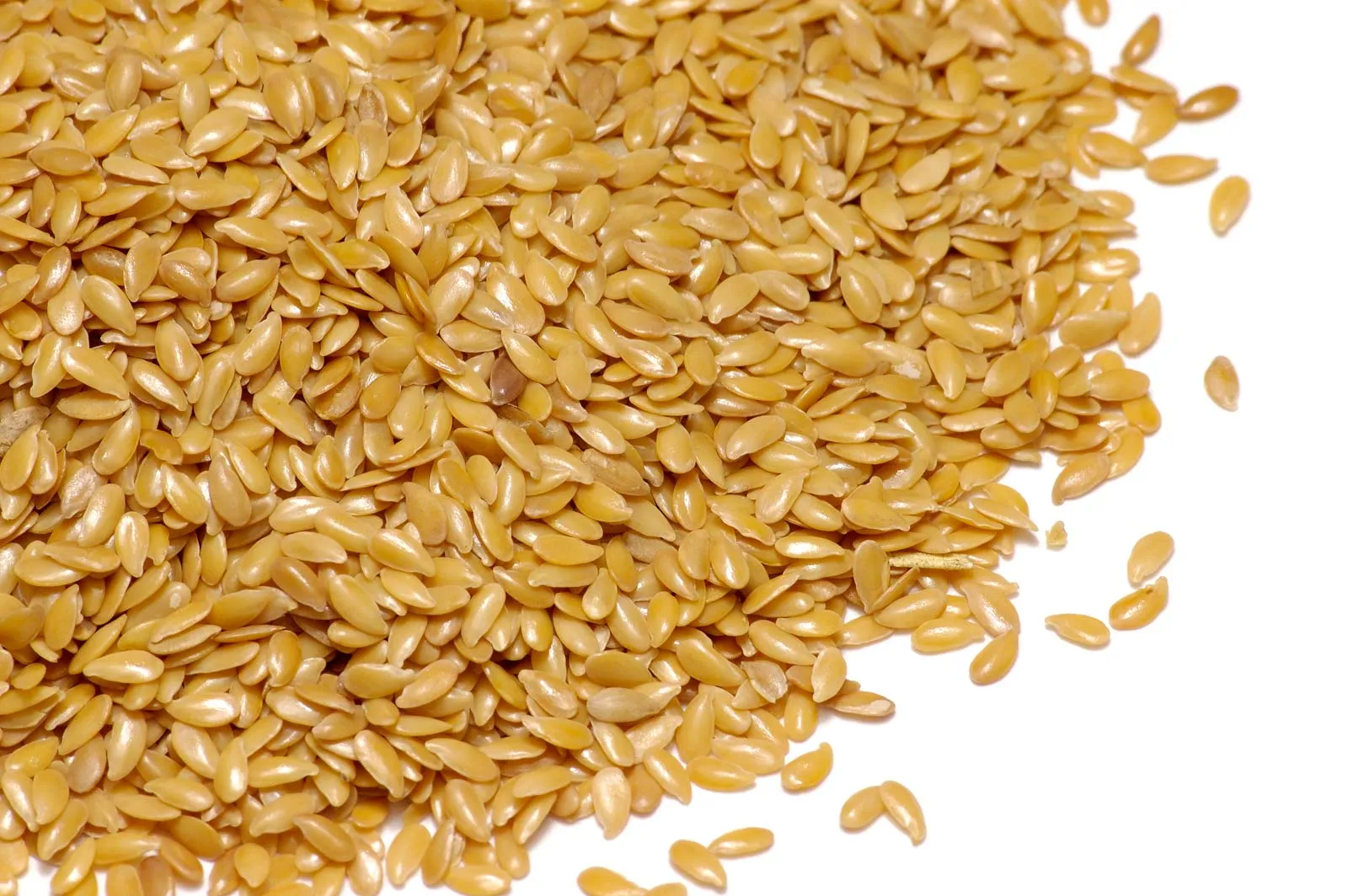 Flax Seeds (Linseeds)