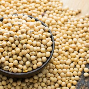 Soybean Seeds