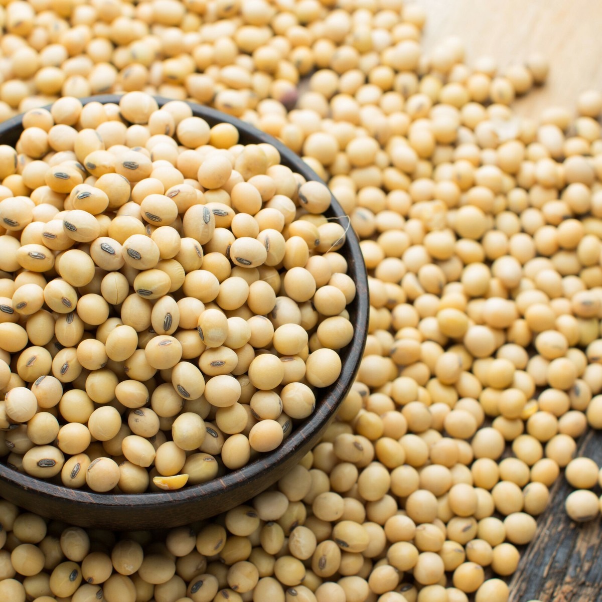 Soybean Seeds