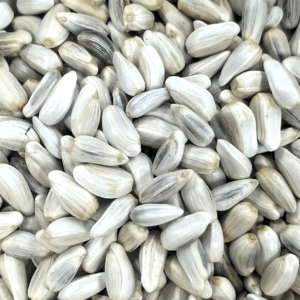 Safflower Seeds